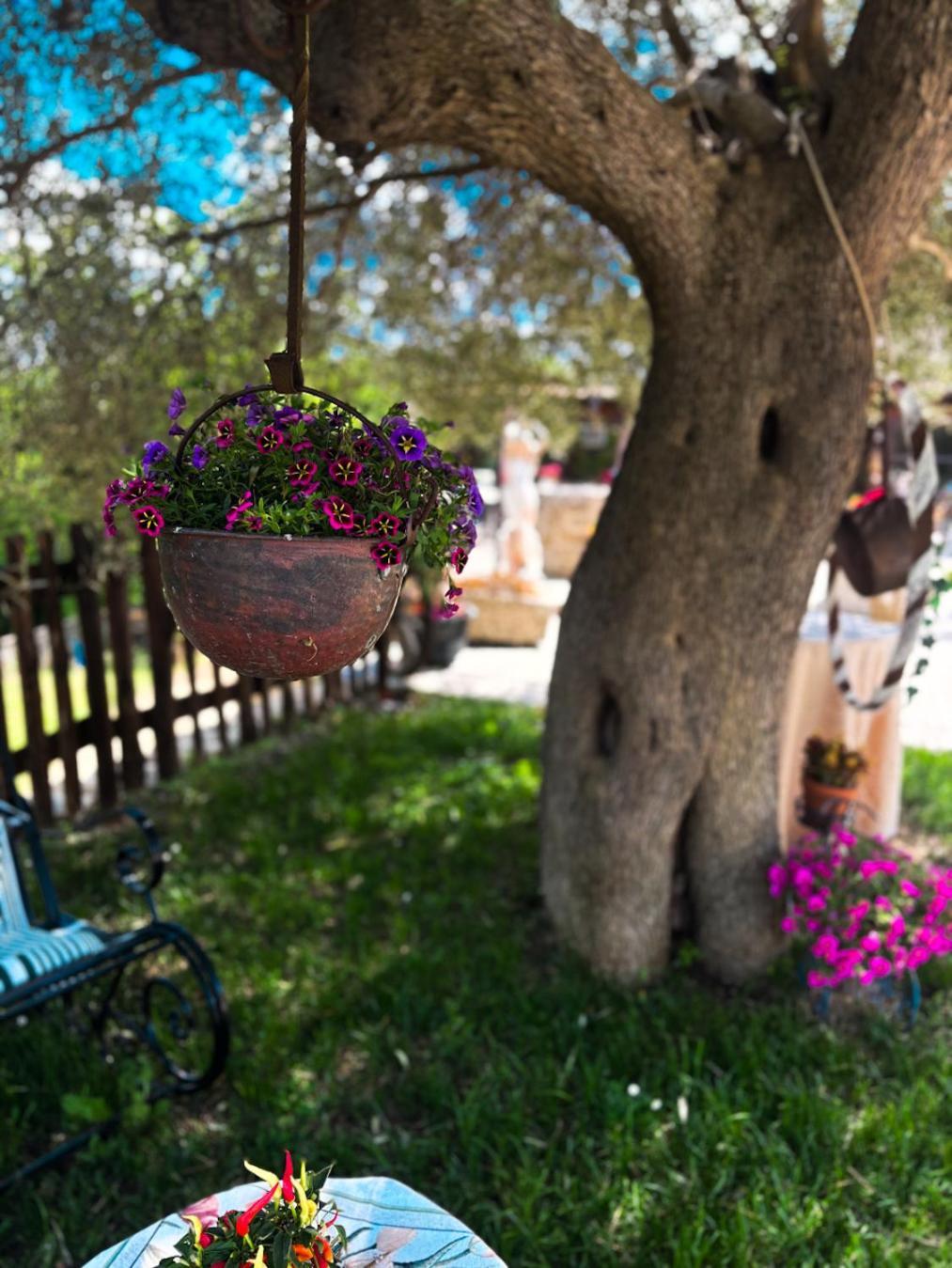 Agriturismo Le Faeta Arpino ภายนอก รูปภาพ